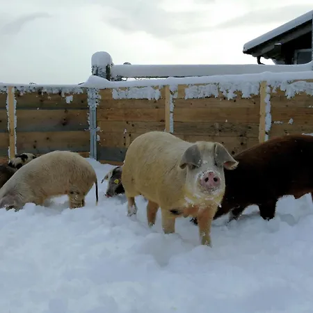 Almhuette Oedenhuebl شاليه