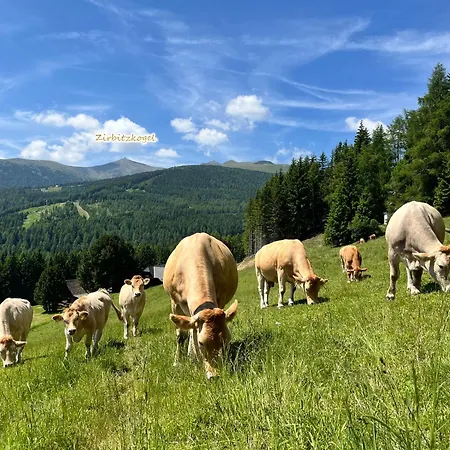 Almhuette Oedenhuebl Sankt Wolfgang
