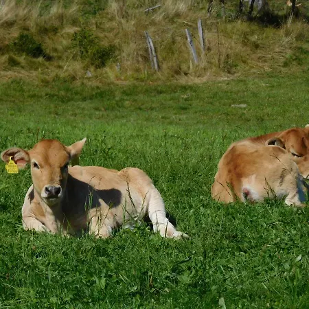 Almhuette Oedenhuebl