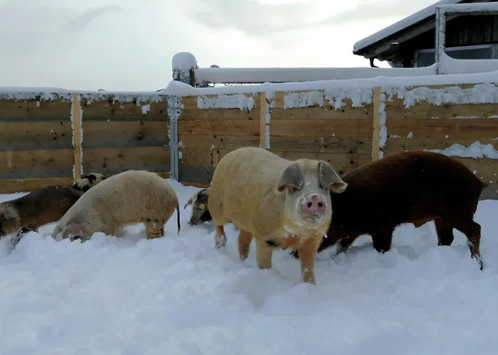 Almhuette Oedenhuebl Alpehytte