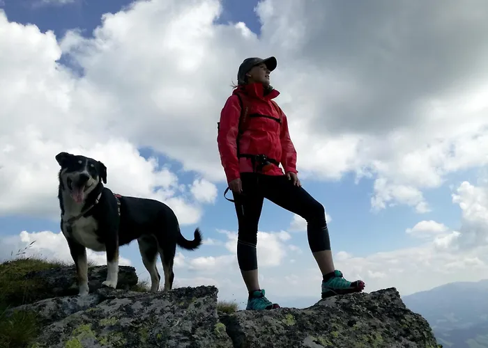 Almhuette Oedenhuebl *