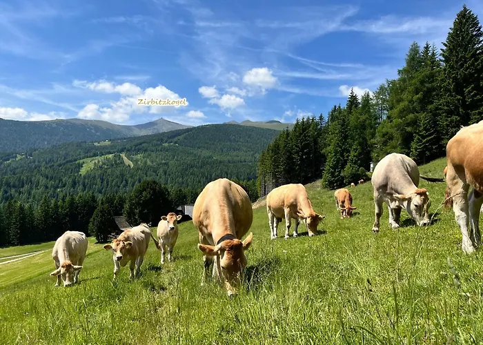 Almhuette Oedenhuebl Sankt Wolfgang