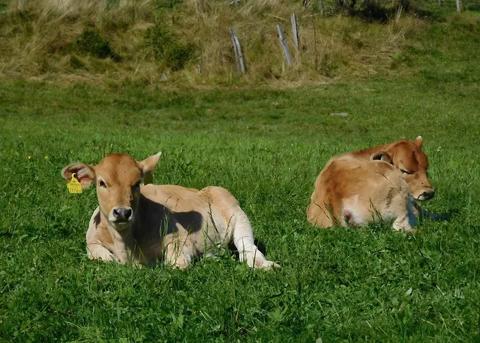 Almhuette Oedenhuebl